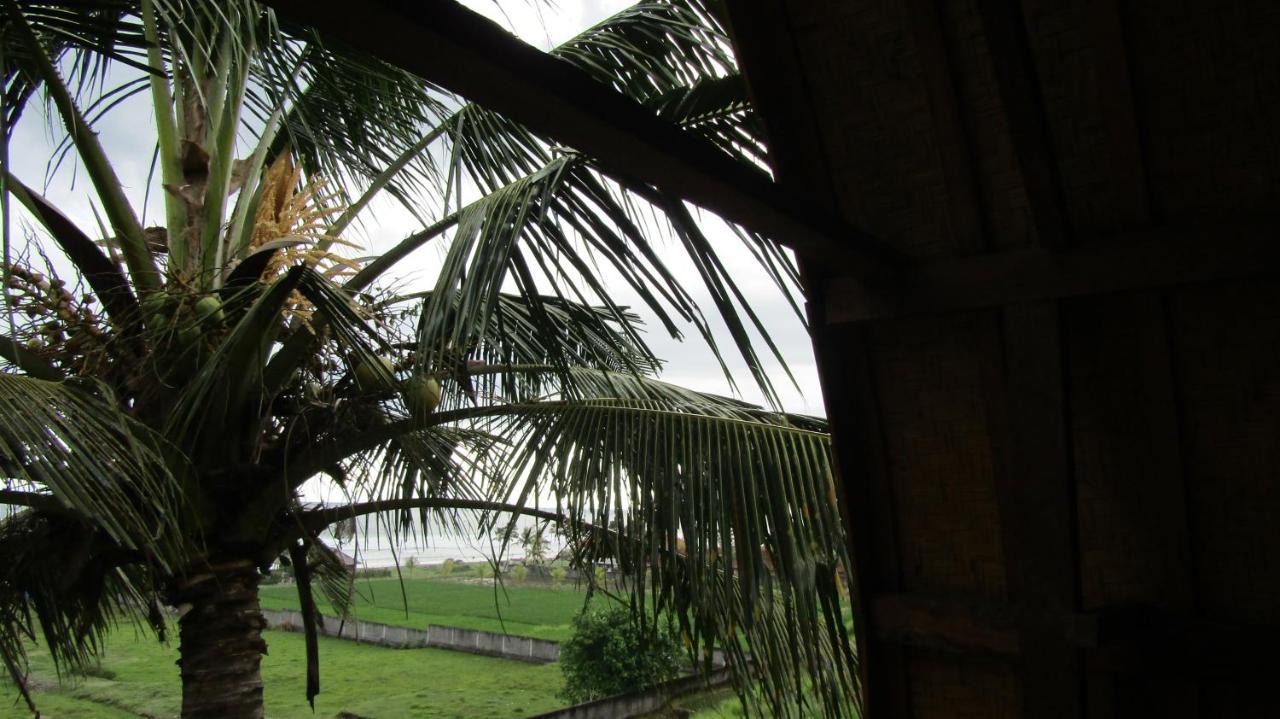 Dikaloha Surfschool And Stay Airsatang Ngoại thất bức ảnh
