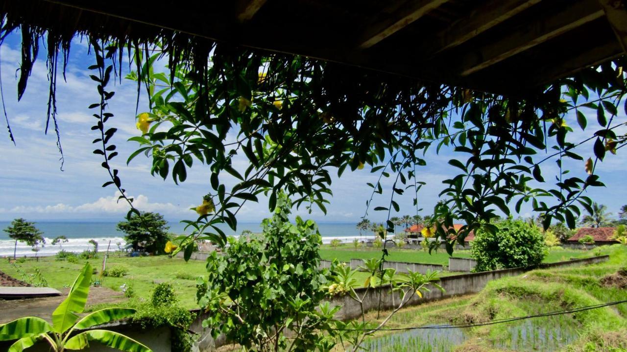 Dikaloha Surfschool And Stay Airsatang Ngoại thất bức ảnh